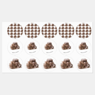 Jambo The Hairless Chimp (change to your own text)