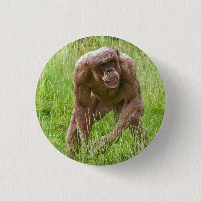 Jambo The Unique Hairless Chimp 3 Cm Round Badge (Front)