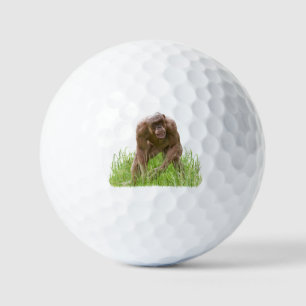 Jambo The Unique Hairless Chimp Golf Balls