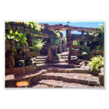 Jameos del Agua Garden, Lanzarote, Canary Islands