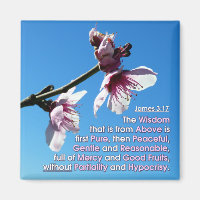 James 3v17 - Wisdom From Above