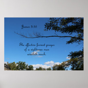 James 5:16 The effective fervant prayer of a Poster