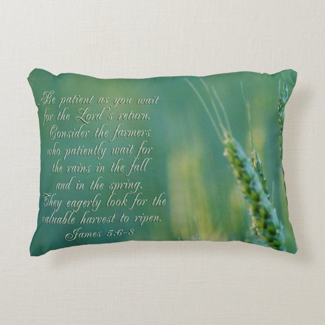 James 5:6-8 Perseverance Inspirational Decorative Cushion (Front)