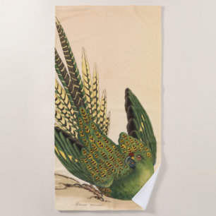 James Sowerby Ground Parrot, Psittacus terrestris Beach Towel
