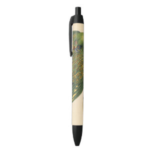 James Sowerby Ground Parrot, Psittacus terrestris Black Ink Pen