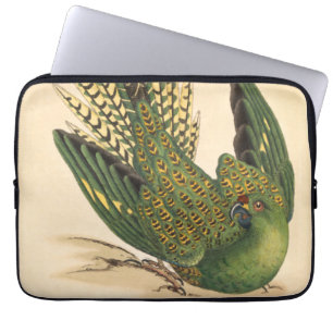 James Sowerby Ground Parrot, Psittacus terrestris Laptop Sleeve