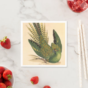 James Sowerby Ground Parrot, Psittacus terrestris  Napkin