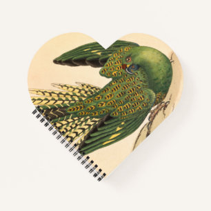 James Sowerby Ground Parrot, Psittacus terrestris  Notebook