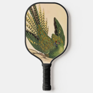 James Sowerby Ground Parrot, Psittacus terrestris  Pickleball Paddle