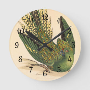 James Sowerby Ground Parrot, Psittacus terrestris Round Clock