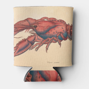 James Sowerby  Serrated Lobster    Can Cooler