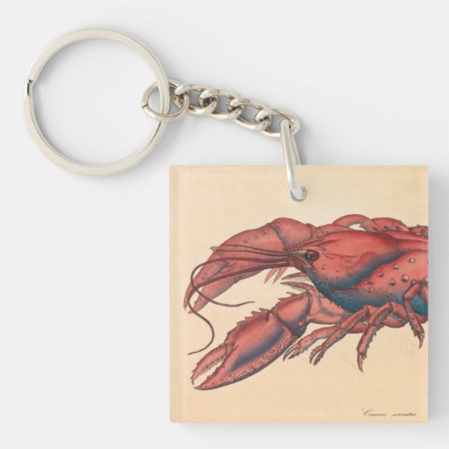 James Sowerby  Serrated Lobster     Key Ring (Front)