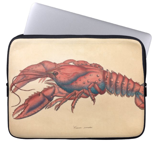 James Sowerby  Serrated Lobster    Laptop Sleeve (Front)