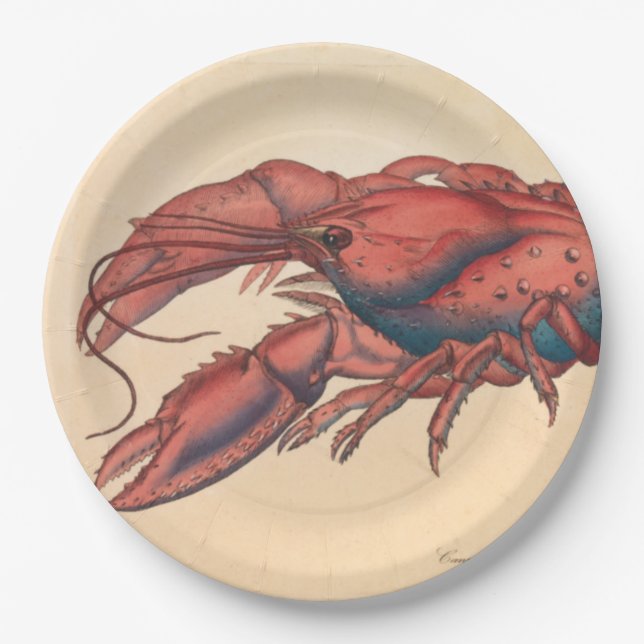James Sowerby  Serrated Lobster   Paper Plate (Front)
