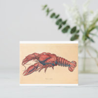 James Sowerby  Serrated Lobster   