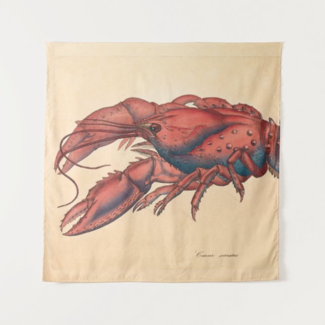 James Sowerby  Serrated Lobster   Tapestry (Front)