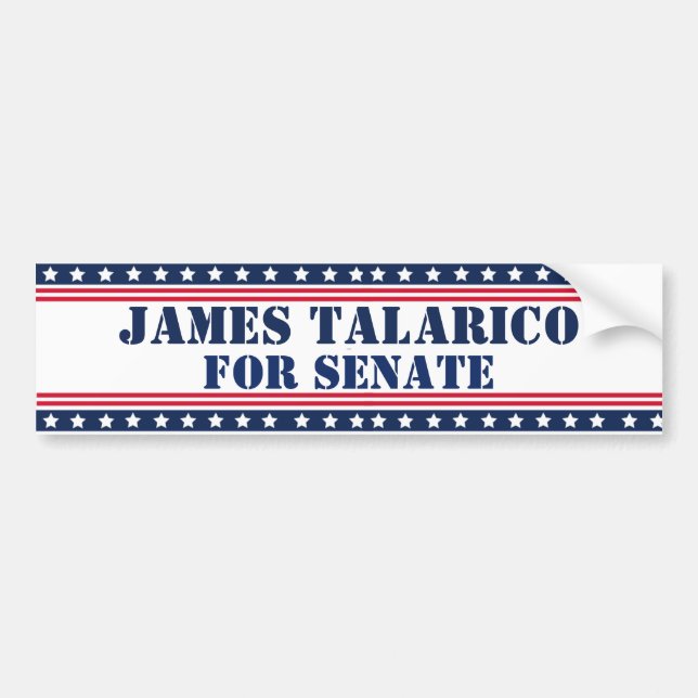 James Talarico for Senate Bumper Sticker (Front)