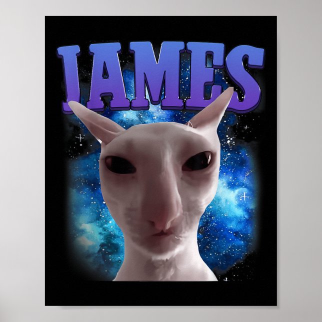James The Cat Meme Funny Silly Cats Brainrot Meme  Poster (Front)