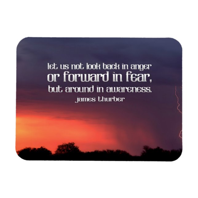 James Thurber Inspirational Quote "Awareness" Flex Magnet (Horizontal)