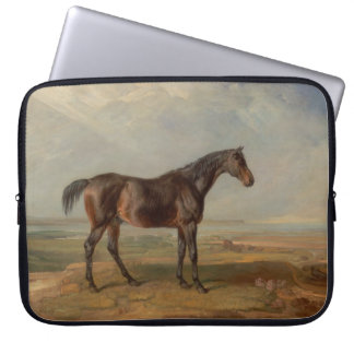 James Ward - Dr. Syntax, a Bay Racehorse Laptop Sleeve