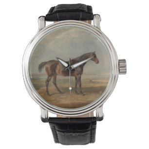 James Ward - Dr. Syntax, a Bay Racehorse Watch
