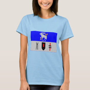 Jämtlands län flag T-Shirt