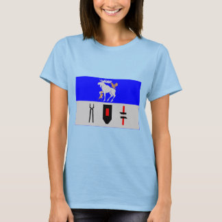 Jämtlands län flag T-Shirt