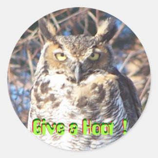 jan112009 009, Give a Hoot  !, Give a Hoot  !, ... Classic Round Sticker