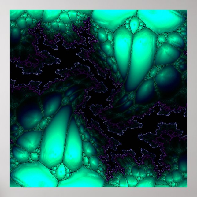 Jan. 5, 2007 poster (Front)