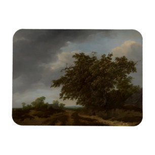 Jan Vermeer, Landscape on the Edge of the Dunes Magnet