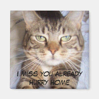 Jane says..HURRY HOME I MISS YOU ALREADY Magnet