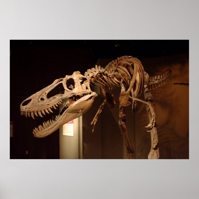 Jane - View #6 Poster (Front)