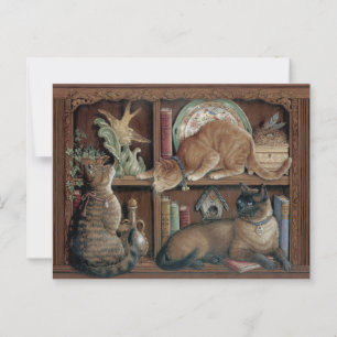 Janet Kruskamp Cats on the bookshelve Postcrossing Postcard