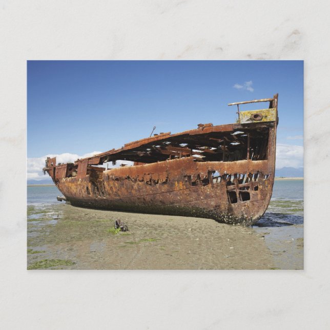 Janie Seddon Shipwreck, Motueka, Nelson Postcard (Front)