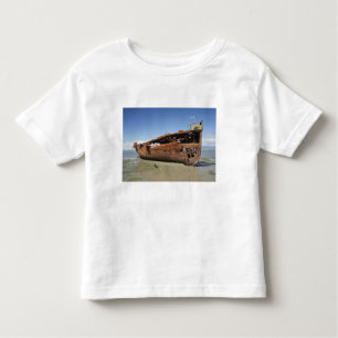 Janie Seddon Shipwreck, Motueka, Nelson Toddler T-Shirt