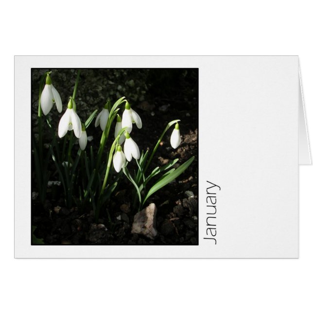 January (Front Horizontal)