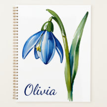January birth flower gift Blue snowdrop flower