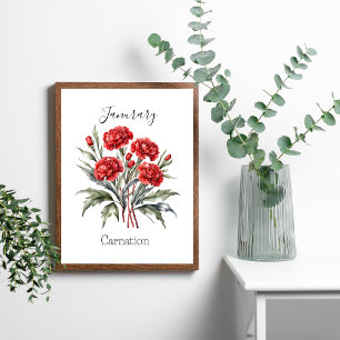 January Birth Month Flower Carnation Birthday Gift Poster