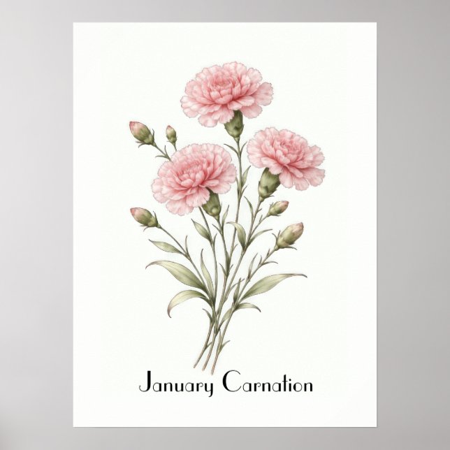 January Carnation Flowers Poster (Front)