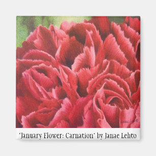 "January Flower: Carnation" Magnet