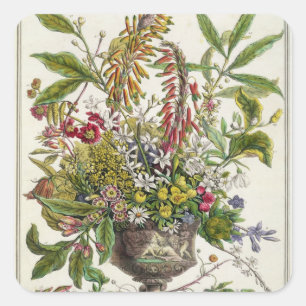 January, from `Twelve Months of Flowers' Square Sticker