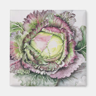January King Cabbage Magnet