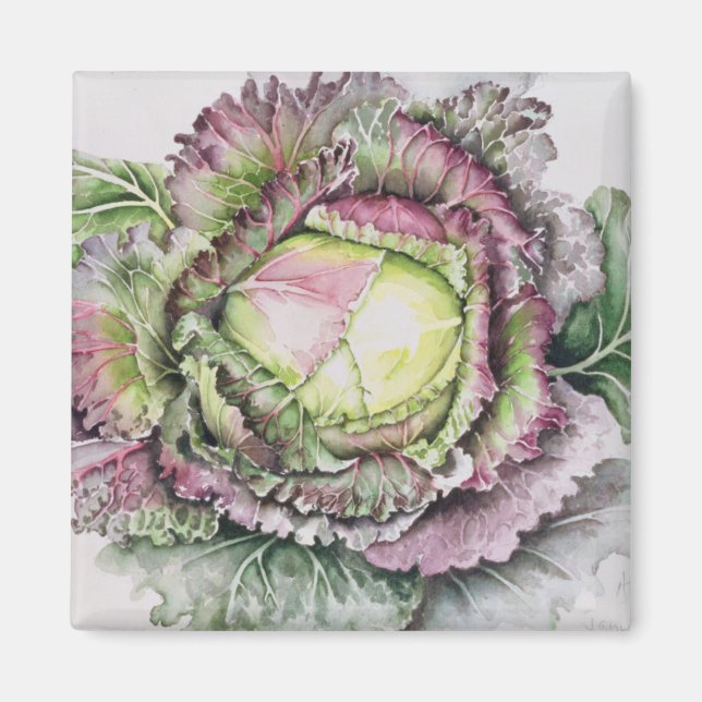 January King Cabbage Magnet (Front)