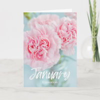 January Pink Carnation Birth Month Flower Birthday