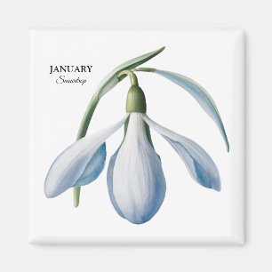 January Snowdrop Bloom - Personalized Gift Magnet