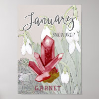 January Snowdrops and Garnet Birthday