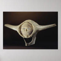 Janus Head, from Cape Dorset