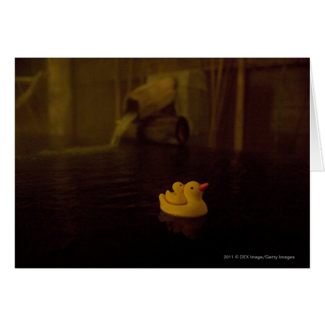 Japan (Front Horizontal)