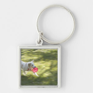Japan 2 key ring