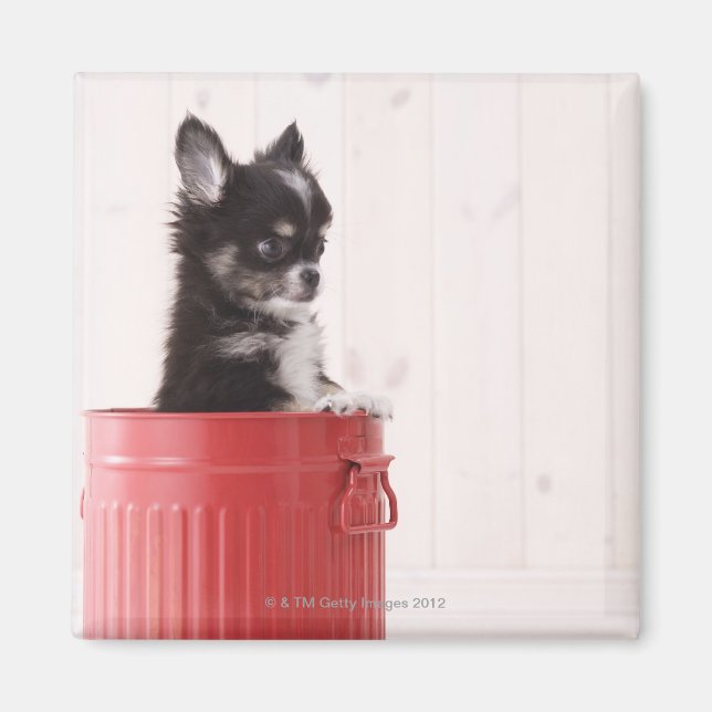 Japan 4 magnet (Front)